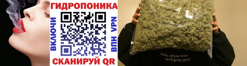  COCAIN Амурск